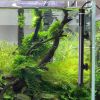 Aquarium Heater